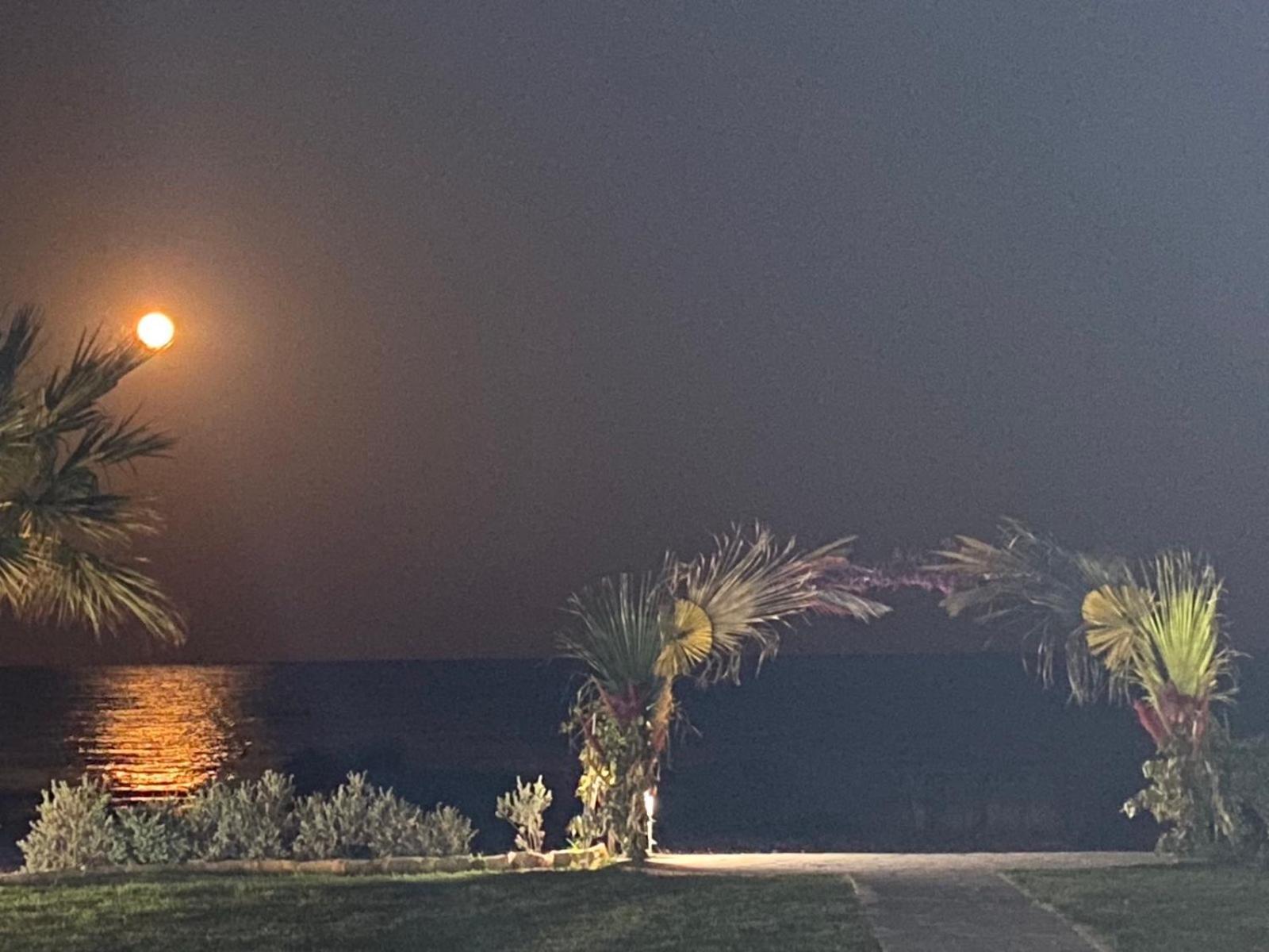 Ionion Beachfront Villa Ayia Napa Ngoại thất bức ảnh